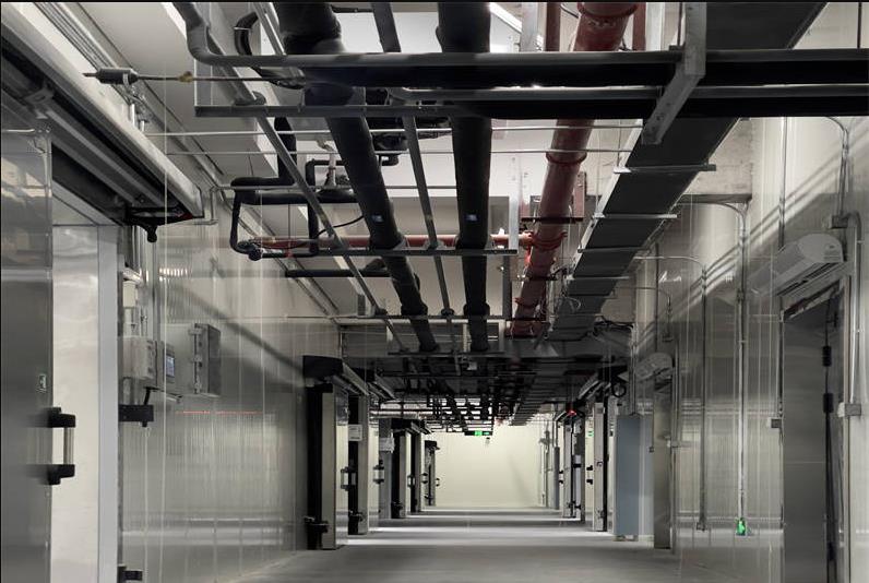 �䶳���ʹ��ʱ��ע����Щ���� 